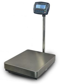 Floor Scale